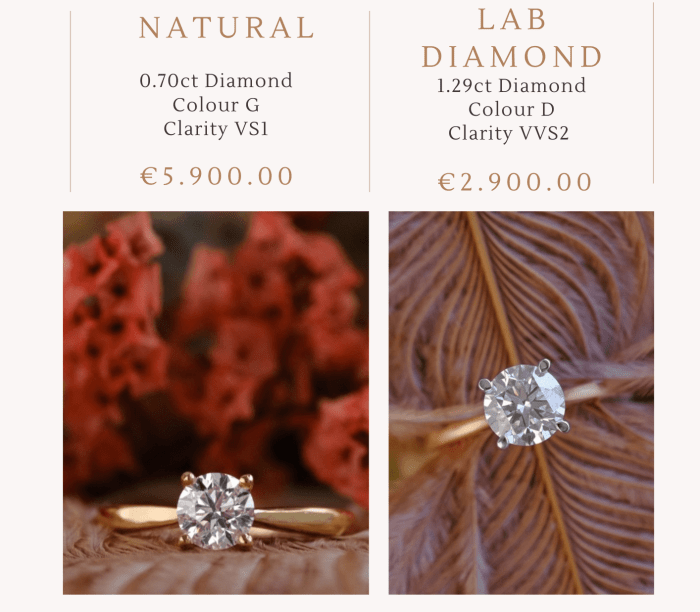 Evaluating the Price Differences Between Natural and Lab-Created Diamond Rings